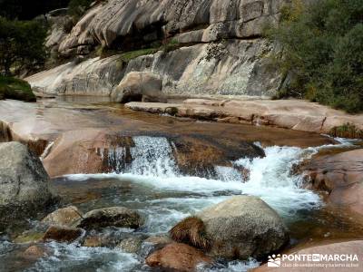 La Pedriza - Collado del Cabrón - Charca Verde_ naturaleza, viaje octubre;camorritos cercedilla